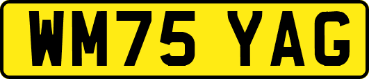 WM75YAG