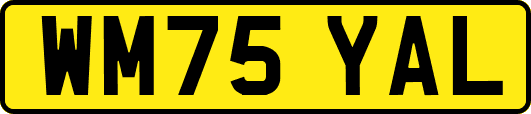 WM75YAL