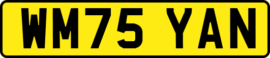 WM75YAN
