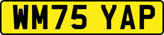 WM75YAP