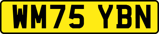 WM75YBN