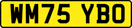 WM75YBO