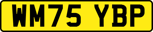 WM75YBP