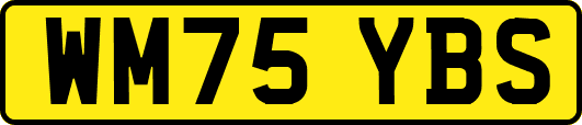 WM75YBS