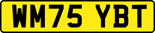 WM75YBT