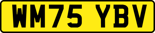 WM75YBV