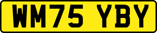 WM75YBY