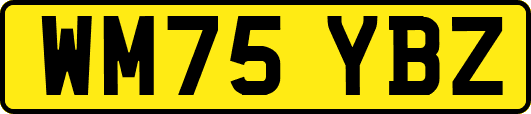 WM75YBZ