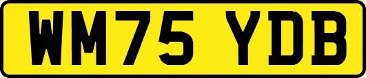 WM75YDB