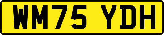 WM75YDH
