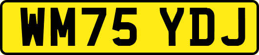 WM75YDJ