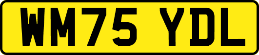 WM75YDL