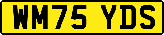 WM75YDS