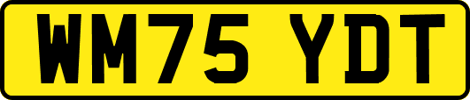 WM75YDT