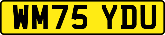 WM75YDU