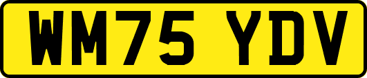 WM75YDV