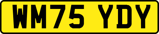 WM75YDY