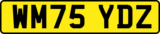 WM75YDZ