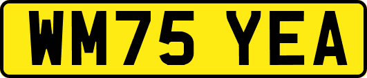 WM75YEA