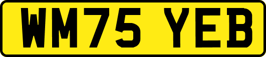 WM75YEB
