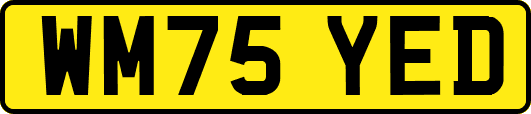 WM75YED