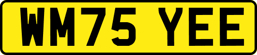 WM75YEE