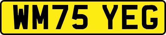 WM75YEG
