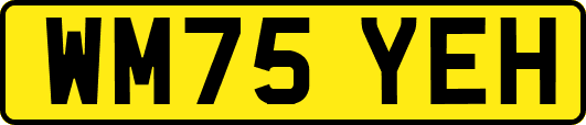 WM75YEH