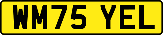 WM75YEL