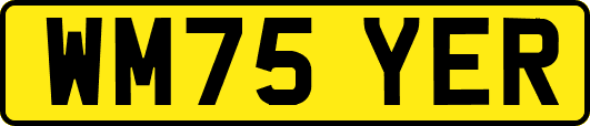WM75YER