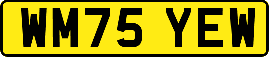 WM75YEW