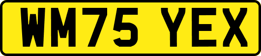 WM75YEX
