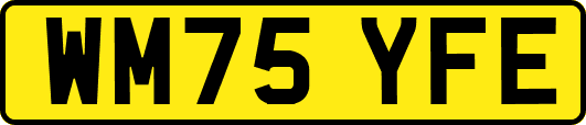 WM75YFE
