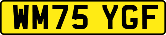 WM75YGF