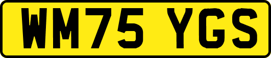 WM75YGS