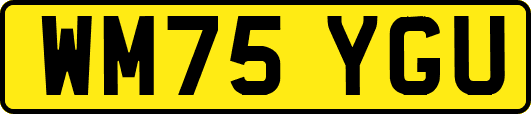WM75YGU