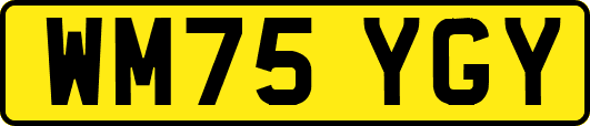 WM75YGY