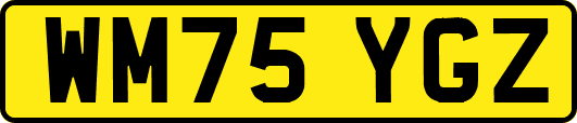 WM75YGZ
