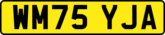 WM75YJA