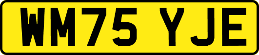 WM75YJE