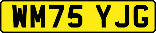 WM75YJG