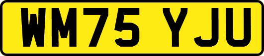 WM75YJU