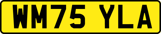 WM75YLA