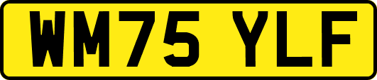 WM75YLF