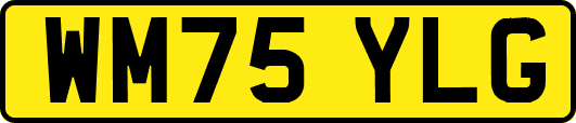 WM75YLG