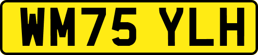 WM75YLH