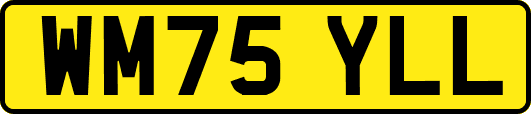WM75YLL
