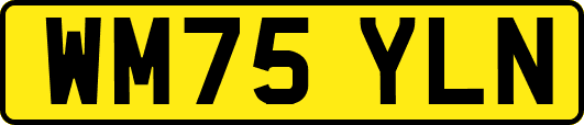 WM75YLN