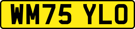WM75YLO