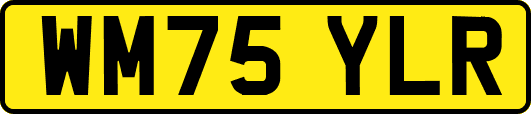 WM75YLR